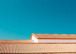 Cleaning concrete tile roofs